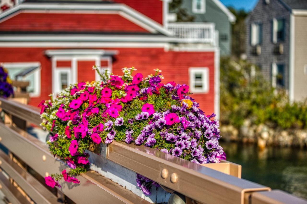 Quaint Bungalow Kennebunk Zewnętrze zdjęcie